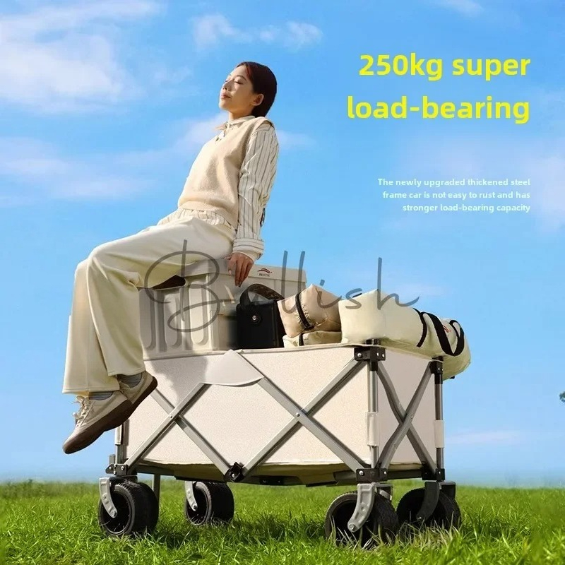 캠핑 트롤리 야외 접이식 캠프 카트 스톨 캠핑 트롤리 - Outdoor Camping Trolley 리뷰 및 가격