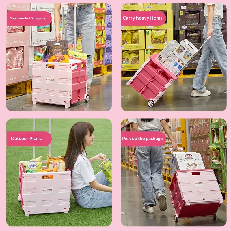 휴대용 접이식 쇼핑 카트, 접이식 식료품 마켓 카트,  - Outdoor Camping Trolley 리뷰 및 가격